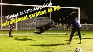 Miniature : Comment améliorer l’attaque de balle et l’agressivité ? Entraînement gardien de but