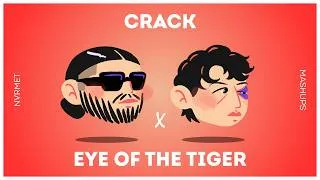 Miniature : SCH × SURVIVOR (CRACK × EYE OF THE TIGER)