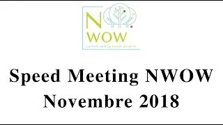 Miniature : Speed meeting NWOW chez Colliers France novembre 2018