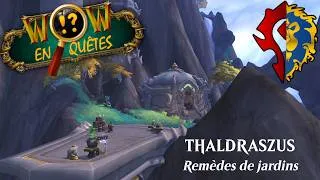 Miniature : WoW En-Quêtes - Thaldraszus : Remèdes de jardins