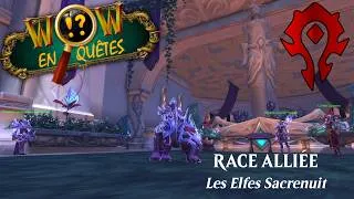 Miniature : WoW En Quêtes - Race alliée : Les elfes Sacrenuit