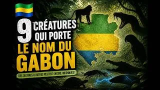 Miniature : 9 Créatures de la forêt du Gabon.