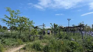 Miniature : 🌿 Découvrez l’Oasis Citadine – 1ère ferme urbaine collaborative en permaculture à Montpellier ! 🌿