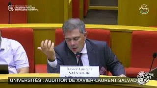 Miniature : Le wokisme commence-t-il dans les sciences humaines ?