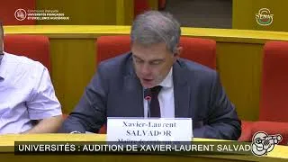Miniature : Le vrai problème n’est pas le wokisme