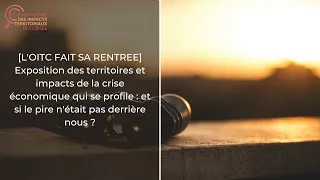 Miniature : Exposition des territoires et impacts de la crise économique qui se profile