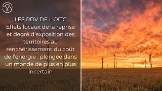 Miniature : Effets locaux de la reprise et exposition des territoires au renchérissement du coût de l’énergie