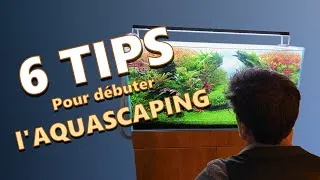 Miniature : Vous DÉBUTEZ l'Aquascaping en 2026? Ces 6 TIPS sont INDISPENSABLES !