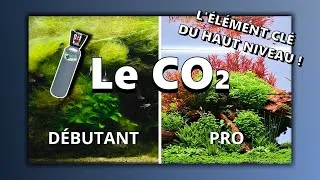 Miniature : 4) Le Guide COMPLET du CO₂ pour Aquariums (Débutants à Experts)