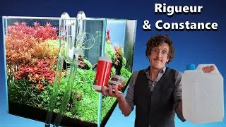Miniature : Maîtrise de l'Aquascaping: Comment RÉUSSIR l'équilibrage PARFAIT (TUTORIEL partie 2)