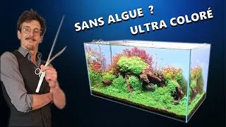 Miniature : Maîtrise de l'Aquascaping: Comment Créer un AQUARIUM de Pro (TUTORIEL Partie 1)