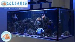 Miniature : JE VENDS MON AQUARIUM de 600L !!!