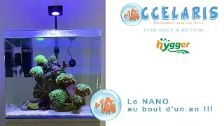 Miniature : NEWS NANO 2025 OCCELARIS !!!