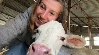 Miniature : Attacher vos ceintures ! 24 h en immersion avec moi! (Vidange moteur, ensilage..)Océane Agricultrice