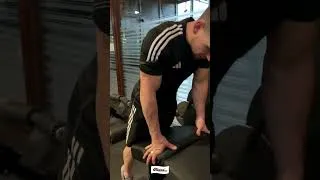 Miniature : Leg Curl