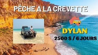 Miniature : PVT Australie : 2500$ la semaine dans la pêche à la crevette