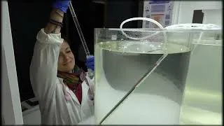 Miniature : Océanolab - Programme Océanolab
