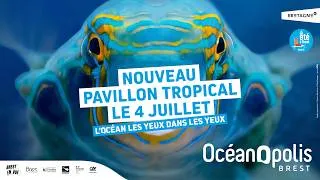 Miniature : Métamorphose - Nos abonnés visitent en avant-première le Pavillon Tropical