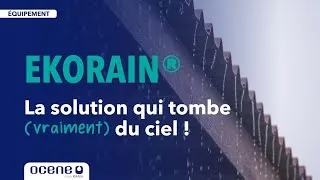 Miniature : Comment traiter l'eau de pluie pour votre élevage ?