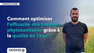 Miniature : Comment optimiser l'efficacité des produits phytosanitaires grâce à la qualité de l'eau ?