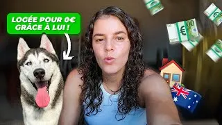 Miniature : Faire du petsitting pour voyager gratuitement (PVT EP-2)