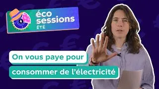 Miniature : Eco-sessions été : être payé pour consommer de l'électricité ?