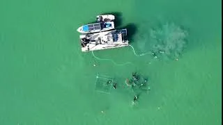 Miniature : Time lapse - Archéologie subaquatique dans le lac de Neuchâtel