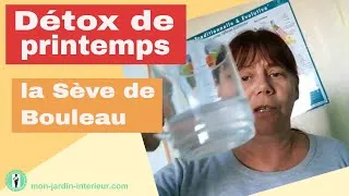 Miniature : spécial détox printemps : vive la sève de bouleau fraîche