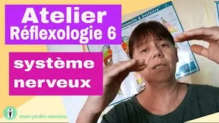 Miniature : Atelier réfléxologie 6 : réduire les effets du stress en équilibrant le système nerveux