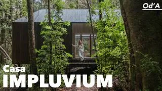 Miniature : Une maison pensée comme un refuge dans une forêt hostile au Chili
