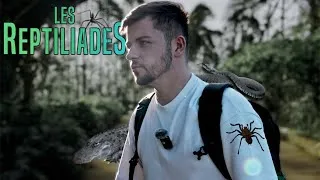 Miniature : Des Crocodiles, Araignées et Serpents chez toi ?! (Les Reptiliades 2025)