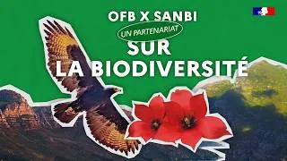 Miniature : OFB X SANBI, un partenariat sur la biodiversité