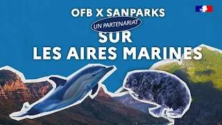 Miniature : OFB X SANPARKS, un partenariat sur les aires marines protégées