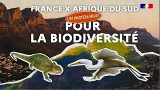 Miniature : France x Afrique du Sud : un partenariat pour la biodiversité