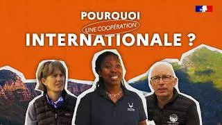 Miniature : France - Afrique du Sud, pourquoi une coopération internationale ?