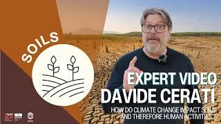 Miniature : How does climate change impact soils and therefore human activities? | Davide Cerati