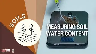 Miniature : Measuring Soil Water Content I Classroom Experiment