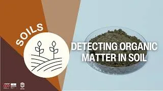 Miniature : Detecting Organic Matter in Soil I Classroom Experiment