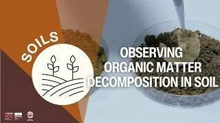 Miniature : Observing Organic Matter Decomposition in Soil I Classroom Experiment