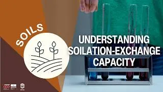 Miniature : Understanding Soilation-Exchange Capacity I Classroom Experiment