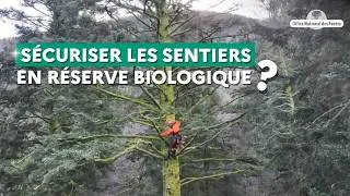 Miniature : Sécuriser une réserve biologique pour améliorer la sécurité des randonneurs