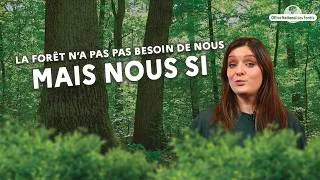Miniature : Est-ce qu'il faut agir en forêt ?