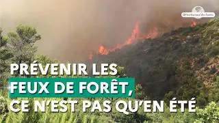 Miniature : Comment l'ONF prévient les incendies avant l'été