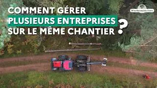 Miniature : Plusieurs entreprises sur le même chantier : comment réduire les risques ?