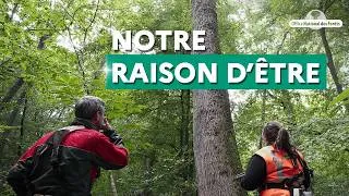 Miniature : La raison d'être de l'Office national des forêts (ONF)