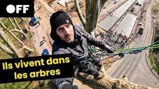 Miniature : DÉFORESTATION : Thomas Brail et les « écureuils » contre l'autoroute A69