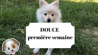 Miniature : WEEK DOUCE 1 • BALADE, JEUX, MOMENT DE FOLIE !