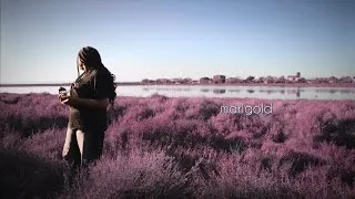 Miniature : MARIGOLD - Ohsalya