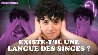Miniature : Une primatologue étudie la communication des singes ! / Podcast avec Lise Habib-Dassetto