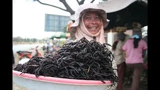 Miniature : Top 10 des Aliments les Plus Étranges du Monde